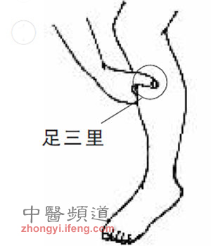 足三里為長(zhǎng)壽穴有6大神效 年過三十應(yīng)常灸